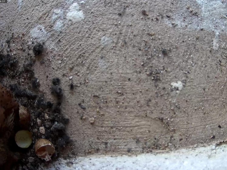 Frame_2021-07-09_06-39-37